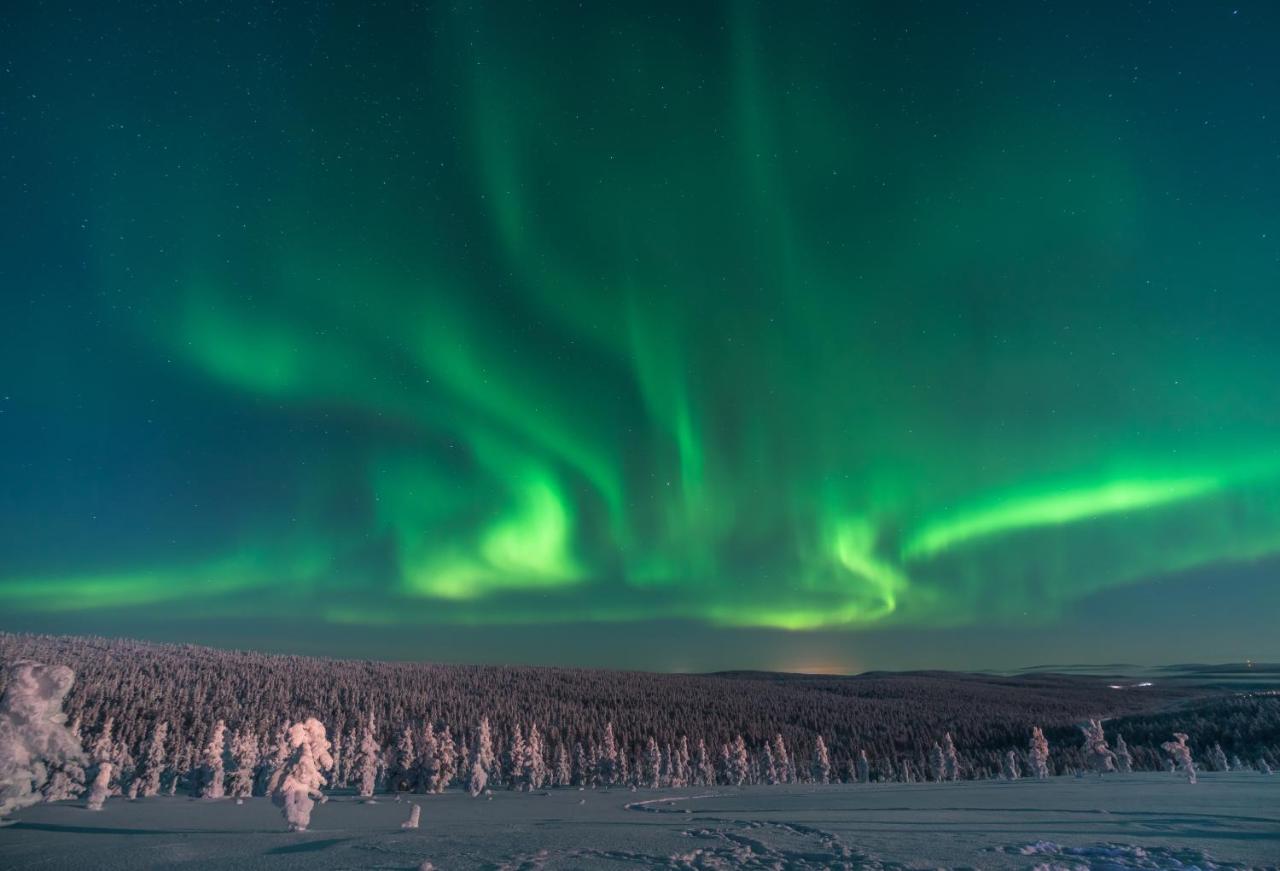 Northern Lights Village Saariselkae Ngoại thất bức ảnh
